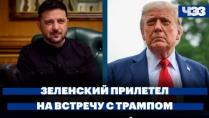 Зеленский прилетел на встречу с Трампом. Сколько стоит накрыть новогодний стол