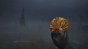 С.Т.А.Л.К.Е.Р. 2 -Болота. Артефакт Рог