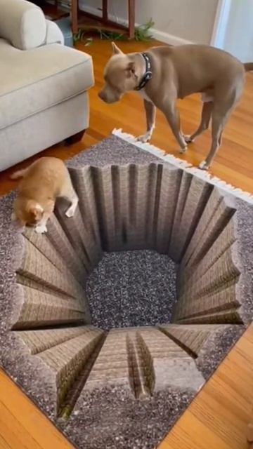 🤣.КОТЯРА...ОХРЕНЕЛ...АБАЛДЕТЬ.🤣 смотреть онлайн