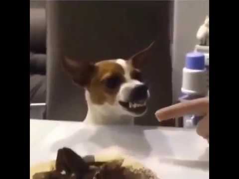 Охрана! смотреть онлайн