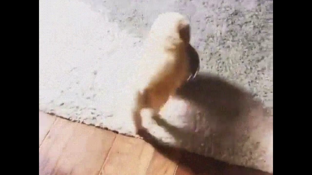 Хочу кушать... смотреть онлайн