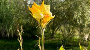 На территории санатория в Сочи