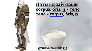 corpus переводится тело латинское слово говорит Бромедик