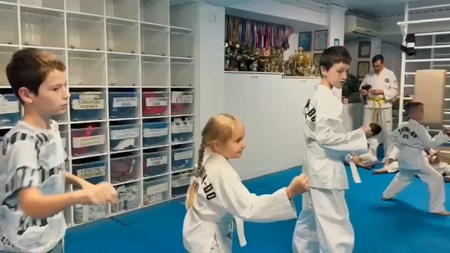 Аттестация на пояса тхэквондо ГТФ-СКФО Пятигорск