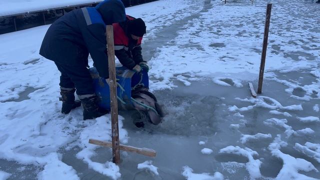 copy_8F22F0AD-5E23-471D-B0D8-BA9CC9C5F52C смотреть онлайн