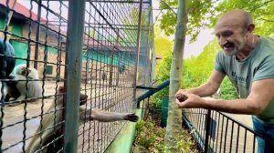 Люська обставляет квартирку мебелью, а Влад кормит свою слегка беременную курочку)))