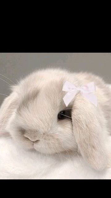 🐰🩷время ASMR 🐰🩷