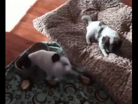 Перемена! смотреть онлайн