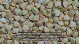 Как вкусно и правильно приготовить зеленую гречку❓