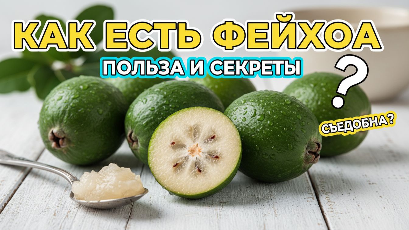 Как правильно есть фейхоа — польза, вред и секреты выбора экзотического фрукта! смотреть онлайн