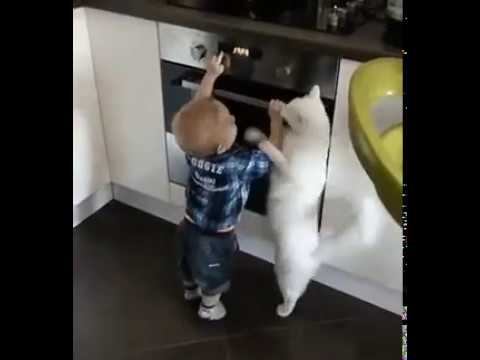 Мастер-класс... смотреть онлайн