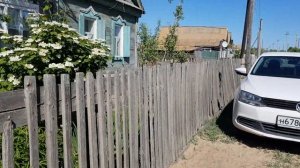 Волжские дары/Местная флора-фауна