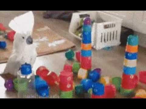 Будешь знать, как меня чипсами не кормить! смотреть онлайн