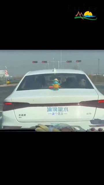 А не надо сигналить 🤣 смотреть онлайн