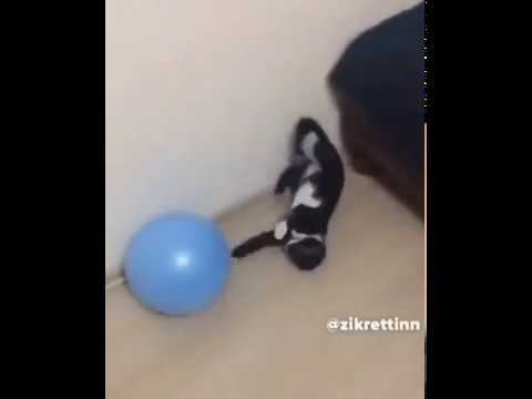 Тренировка смотреть онлайн