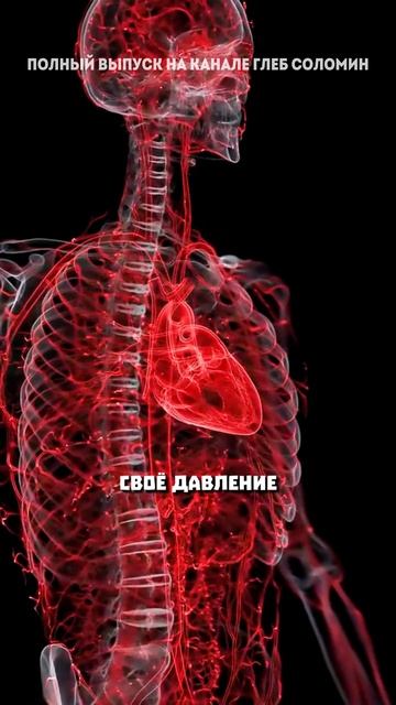 Проблема гипертонии | Гаглошвили | Полный выпуск на канале «Глеб Соломин» смотреть онлайн
