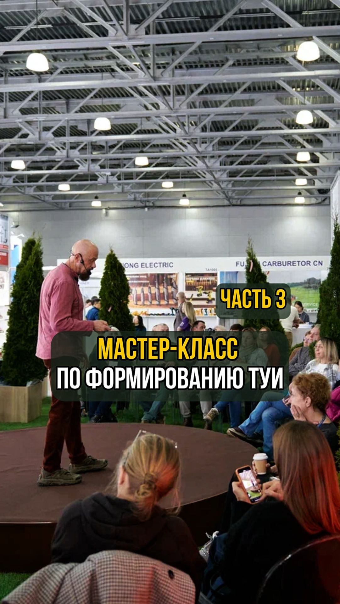 Мастер-класс по формированию туи. Часть 3 смотреть онлайн