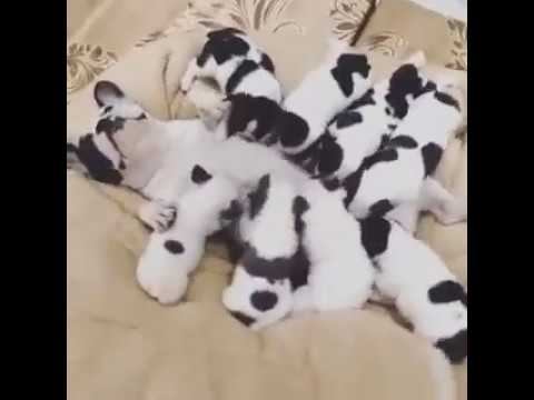 Блаженство смотреть онлайн