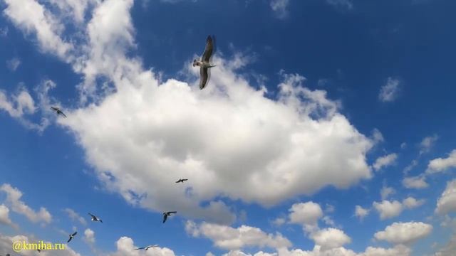 Клубная музыка / All Ends Loose - Truvi / hous / хауз / club music смотреть онлайн