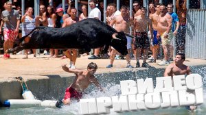 ВИДЕОПРИКОЛЫ \ КРУТЫЕ ПРИКОЛЫ 2025 \ НОВЫЕ ПРИКОЛЫ \ СМЕШНЫЕ ПРИКОЛЫ 2025 ЮМОР