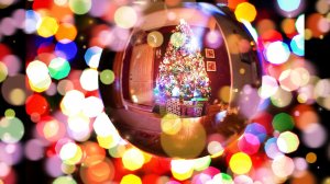 🎄 «В лесу родилась ёлочка» Ева Талем ❄️