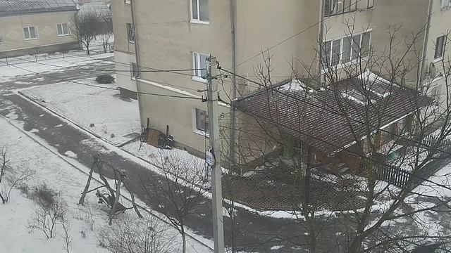 Изображение 044.mp4 смотреть онлайн