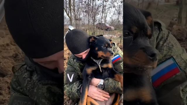 Счастливые встречи с бойцами СВО/ Такое не забудешь/Благодарность от парней. смотреть онлайн