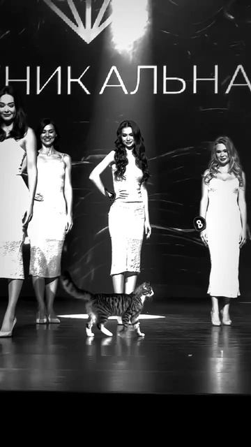 Эффектный выход смотреть онлайн