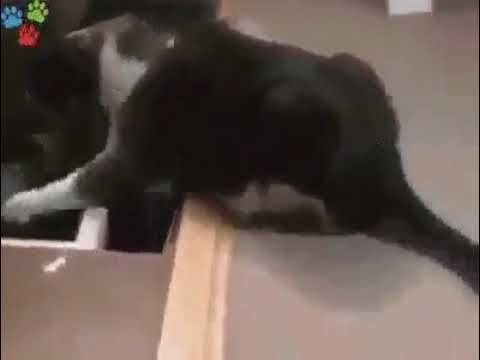 Позитиффчик;) смотреть онлайн