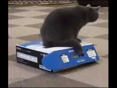 Будешь знать, как моих мышей ловить! смотреть онлайн