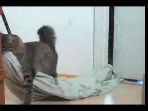 Субботник смотреть онлайн