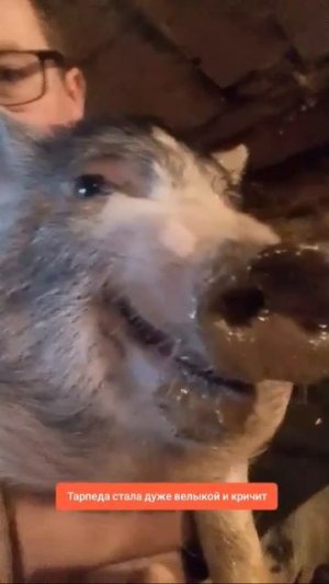 Я ПЕРВОГО СЕНТЯБРЯ