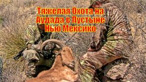 Тяжелая Охота на Аудада в Пустыне Нью Мексико