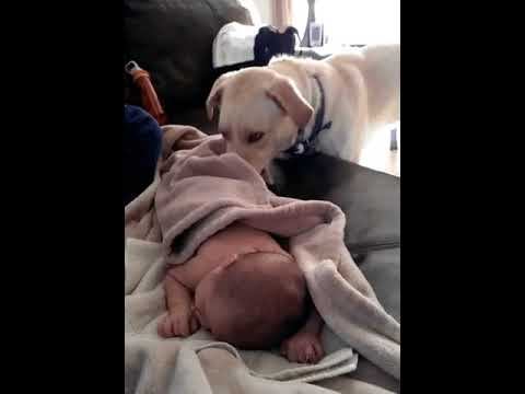 Что за безответственные родители? И что б Вы делали без меня! смотреть онлайн