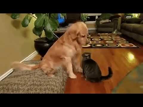 Похвала... смотреть онлайн