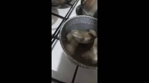 #смешныевидео -552