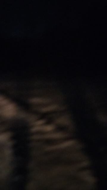 Влог часть 2