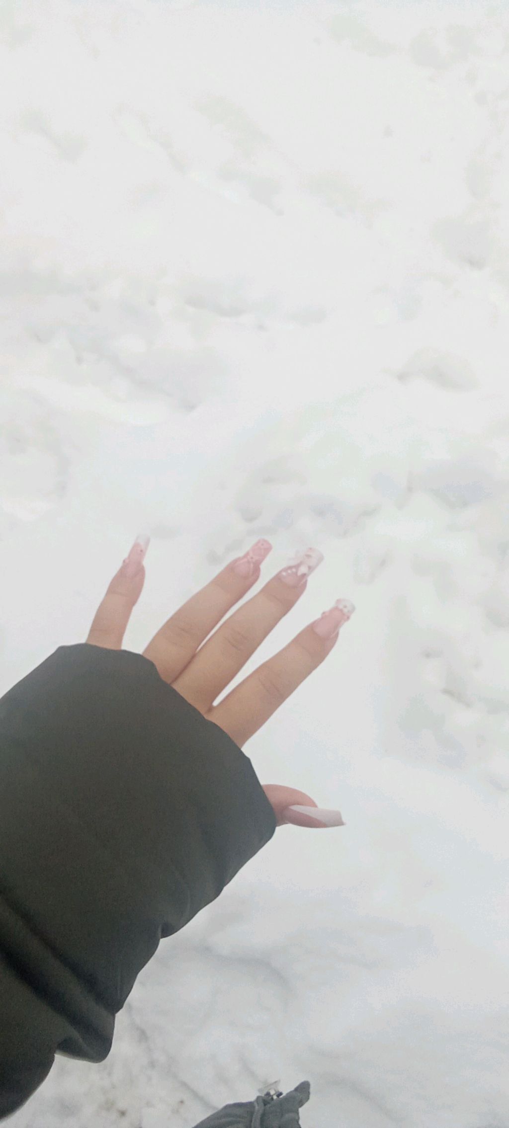 ночные поскакушки🫣