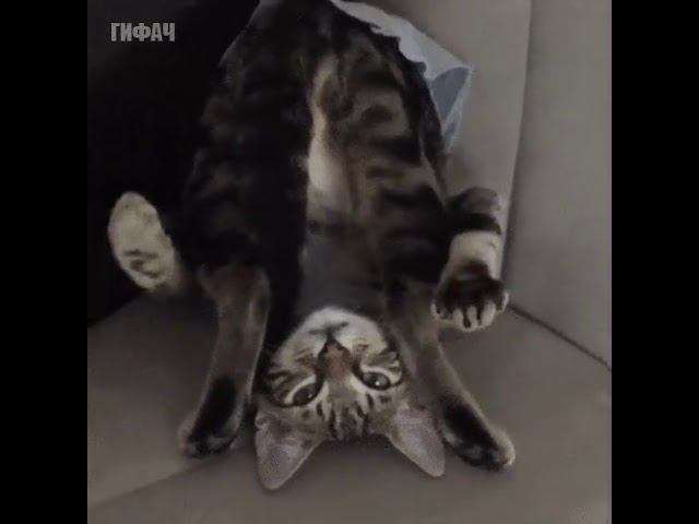 Способ релаксации смотреть онлайн