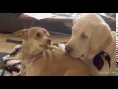 Провокатор! смотреть онлайн