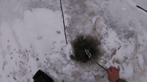 Жерлицы проверка 6. 2024 год первый лед.