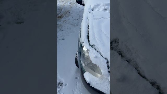 Ситроен берлинго 2004г смотреть онлайн