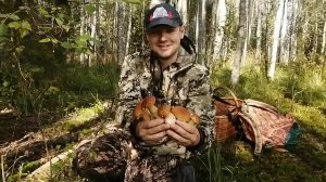 Грибов хватило всем