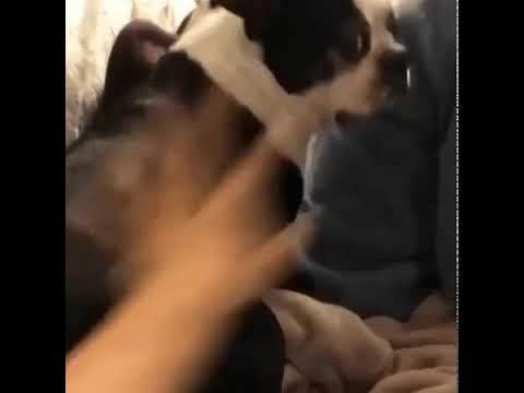 Позитиффчик... смотреть онлайн