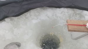 ПЛОТВА НА РЕКЕ!!! ЗИМНЯЯ РЫБАЛКА!!!