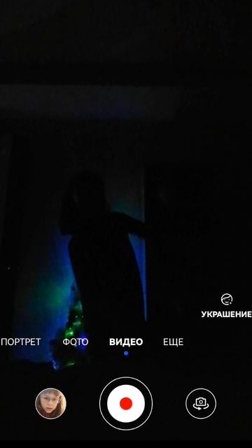 🌲 смотреть онлайн