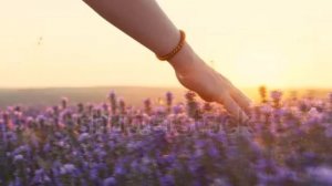 Энни Леннокс ( Белее белого )