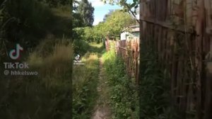 Вайбовые видео из тик тока 2021-2022