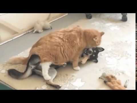 Ну что, в загс идем? смотреть онлайн