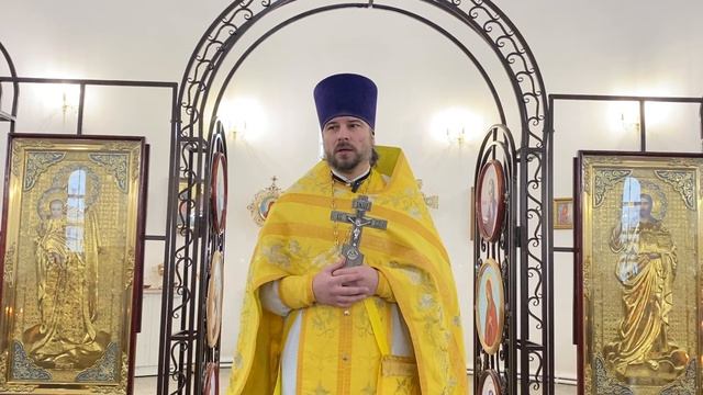 Проповедь в неделю 29-ю по Пятидесятнице .(28.12.2025).Протоиерей Димитрий Нестеренко.